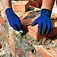 hand gloves nitrile coated